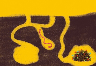 宝宝学画画教程：地下小动物