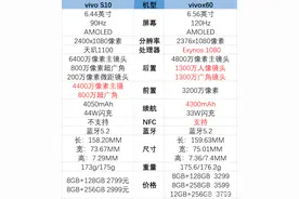 vivos10和vivox60哪个好-参数对比图片