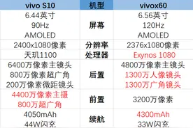 vivos10和vivox60哪个好-参数对比图片