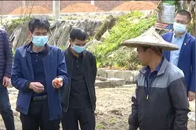 「防控一线 党旗飘扬」云霄：服务送到田间地头 守护农户“莓”好时光图片