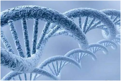 天大发现，《易经》中的64 卦竟然与64个DNA遗传密码一致吻合！