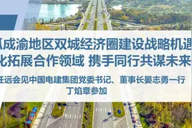 做强总部，探索创新！刘任远会见中国电建集团董事长晏志勇一行图片