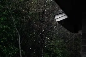 下雨天，竟有这么多可拍的？－摄影早自习第1716天图片