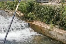 农村小水沟钓鱼，还要收费200？钓鱼人：不亏，钓了13斤溪石斑图片