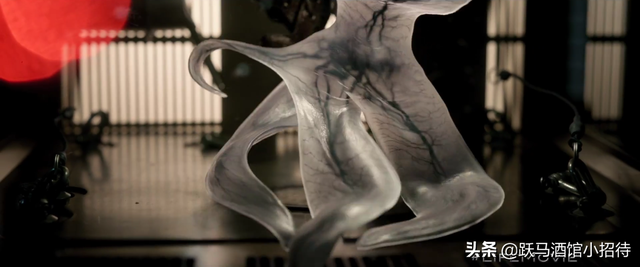 解释一下《异星觉醒》最后的结局