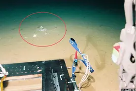 马里亚纳海沟万米海底的一个发现，让科学家吃惊：人类该反思图片