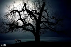 第三章 “掩住她的脸”图片