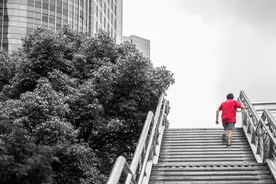从穷困潦倒到一代巨星，有种“逆袭”人生叫做：史泰龙图片