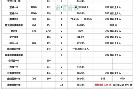 2020年优质高中高考成绩汇总图片