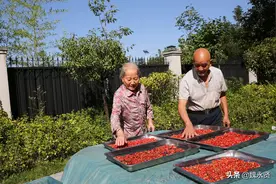 山村八旬老两口的幸福生活：住儿女盖的小洋楼，院子里种菜养鱼图片