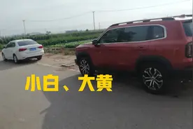 乌兰哈达火山+黄花沟图片