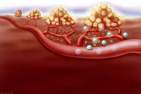 注意！名师讲解视频来了—中考满分生物（血液循环系统中的瓣膜）图片
