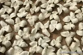 新会陈皮是暴晒还是晾晒？图片