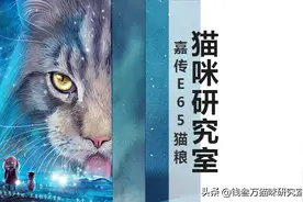 嘉传E65升级，性价比无敌靠谱高端粮，科研能力加成，全村的希望图片