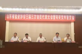 山东省盐业协会召开三届三次会员代表大会 暨有关文件宣贯会会议纪要图片