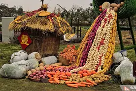 玉米苞叶、高粱杆、芝麻杆，废弃农作物变身艺术景观，亮相丰收节图片