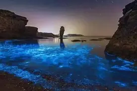 绝美！闪烁着蓝光的海面再现国内 犹如繁星坠入大海图片