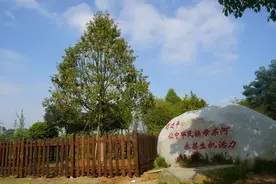 再造一个“绿色三峡”| 解码三峡集团的生态环保基因图片