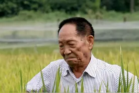 颂歌献给袁隆平图片