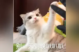 小黄脸表情包｜不会还有人没用过这些贱贱的表情包吧图片