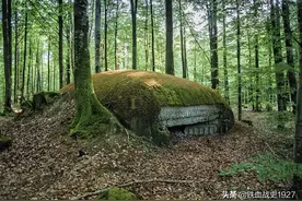 隐藏与搜索，细看二战德军野战工事的伪装手段图片
