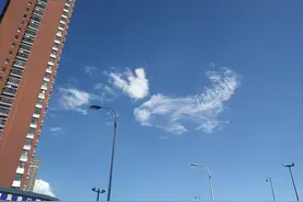 随心拍拍拍图片