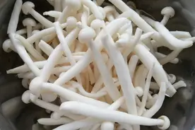 苦瓜清炒海鲜菇，口味清淡，清热下火图片