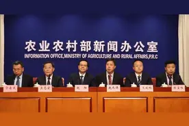 全国生猪价格涨跌表｜2021年6月28日，各省猪价大涨1.5元图片