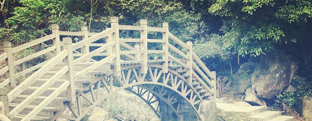 2021高考一轮复习知识点：高中生物三年必备考点汇总