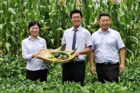 “以人为本”打造农信“家”文化——河北保定农商银行“新五小建设”创建纪实图片