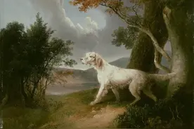 太刺激！5分钟暴涨3000%！幕后黑手是谁？图片