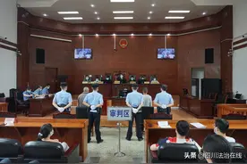 啥！抓“癞疙宝”也犯法？ 乐山两人非法猎捕野生蟾蜍被判刑图片