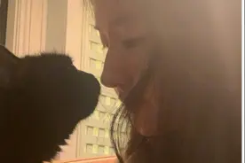 刘亦菲开心与猫自拍，鼻梁高耸侧脸太美，网友：这熟悉的拍照技术图片