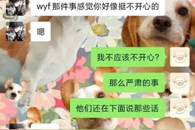因为吃瓜吴亦凡事件脱单了？难道这就是世界的参差吗图片