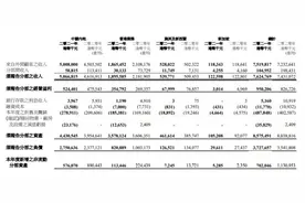 维他奶66.6%的营收由中国大陆贡献，业务或面临巨大不确定性图片