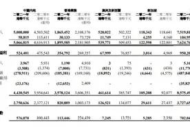 维他奶66.6%的营收由中国大陆贡献，业务或面临巨大不确定性图片