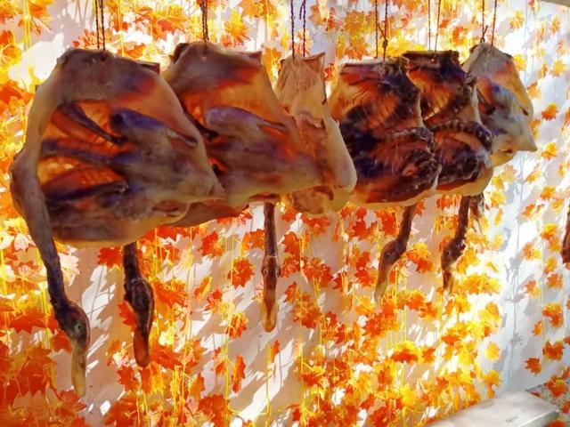 秋风吻尽银杏叶，艳遇醉美帽子峰