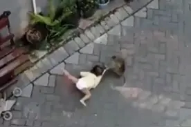 事发印尼街头，骑自行车猴子试图拖走小孩，搞清楚原委后网友谴责图片