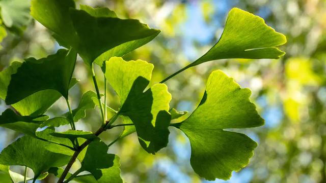身体乳可以擦牛皮鞋吗 身体乳可以擦牛皮鞋吗