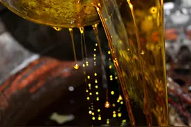 菜籽油被称为“东方橄榄油”，可网传却含有害物质？告诉你答案图片