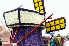 “科技与花的碰撞”与花有关的各种科学技术图片