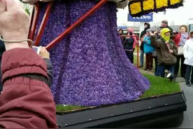 “科技与花的碰撞”与花有关的各种科学技术图片