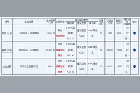 徐州「新地王 」来了？东区核心区域挂地图片