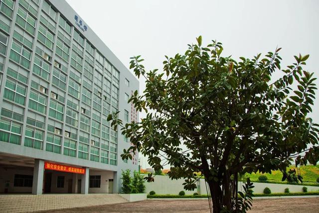 东莞民校中的"状元郎"-----东华(东莞市东华初级中学生态园校区) - 冷