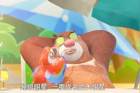 熊大一夜成为大明星，每天都很烦恼，风雨无阻四处奔波视频封面