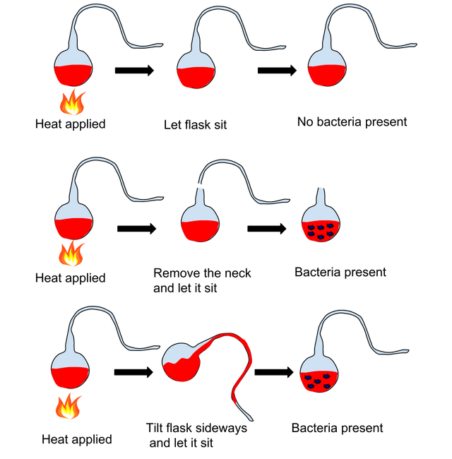 生命起源百年探索：进化论、信息论、热力学谁是主角？