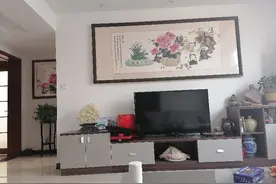 我来说说朱之文图片