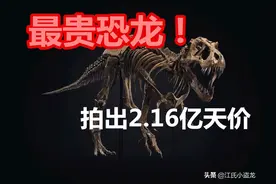 2.16亿元！史上最贵恐龙化石横空出世图片