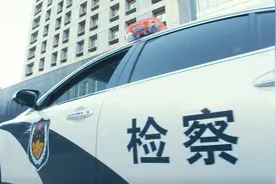 捕猎竹鸡还拍成视频上传，公诉！图片