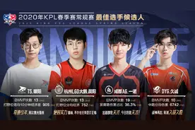 KPL常规赛荣誉,一诺提名MVP和最佳发育路,LGD大鹅4人上榜江城未上图片